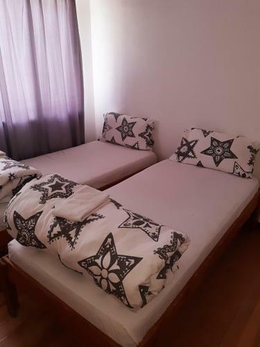 Albergue Back2roots Backpackers