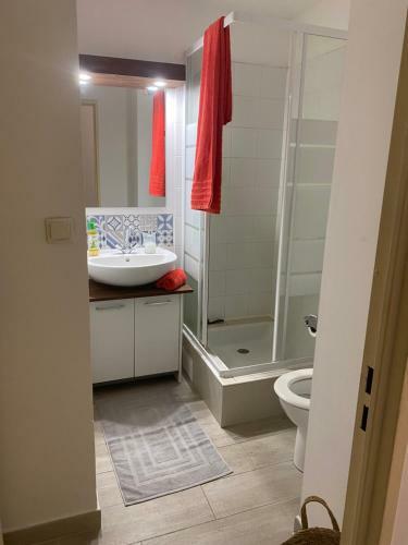 Apartamento Studio Cosy - Sainte-clotilde