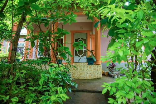 Avocado Tree House
