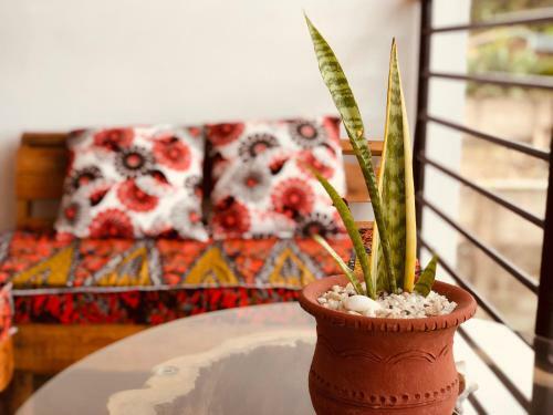 Sana Africa Home Leopard - Room