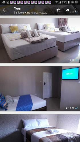 Hostal The Graceland Guesthouse