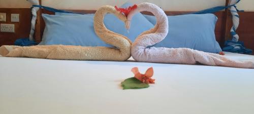 Bed & Breakfast Choni Villas