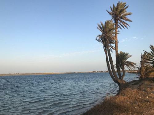 Villa Djerba La Douce