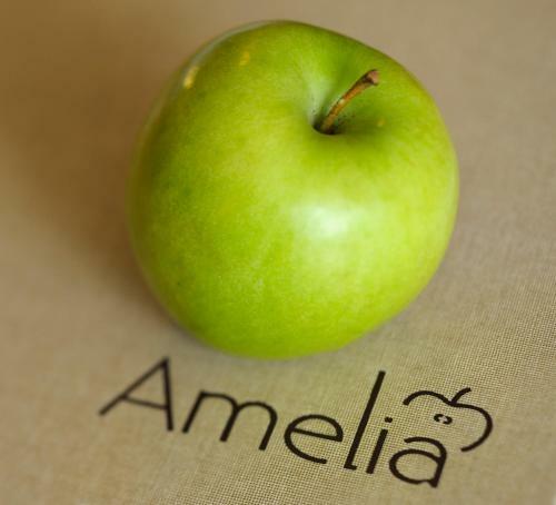 Garni Hotel Amelia