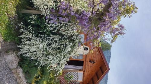 Les Chalets De Pertuis