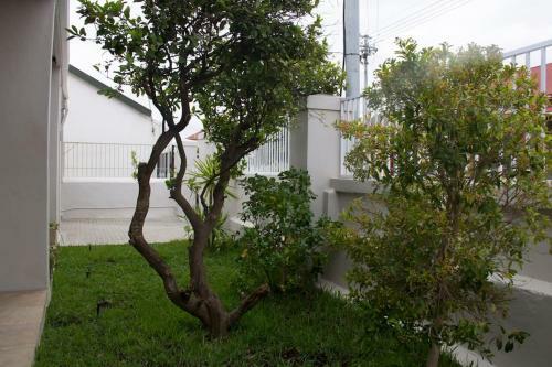 Hostal Argyle Inn Cape Town