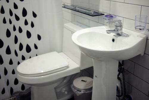 Hostal Whitetail Guesthouse