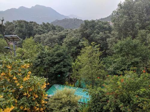 Incredible Birding Camp
