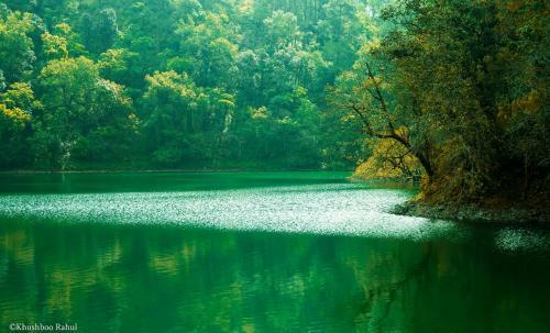 Incredible Birding Camp