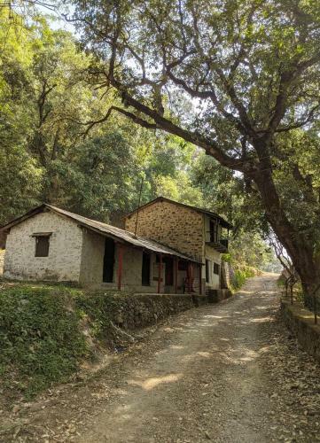 Incredible Birding Camp