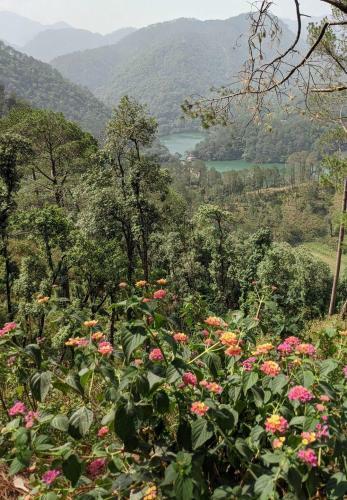 Incredible Birding Camp