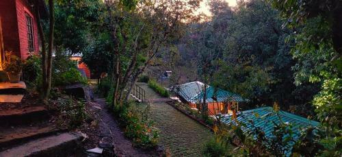 Incredible Birding Camp