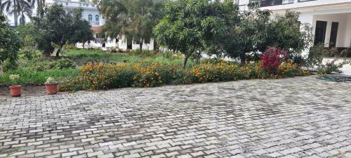 Cheema House 96