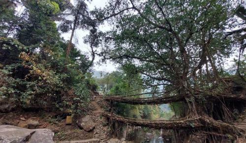 Odyssey Stays Nongriat - 3kms Trek