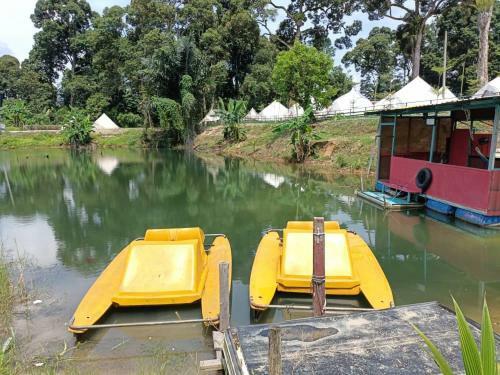 Tok Mat Glamping (tmg)