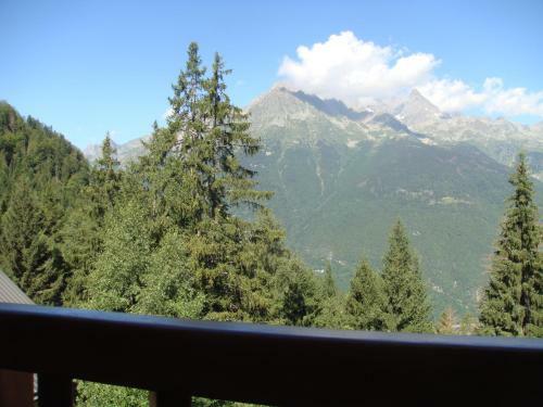Chalet Clementine