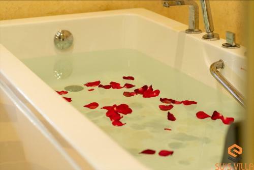 Hotel Su's Villa H� Giang
