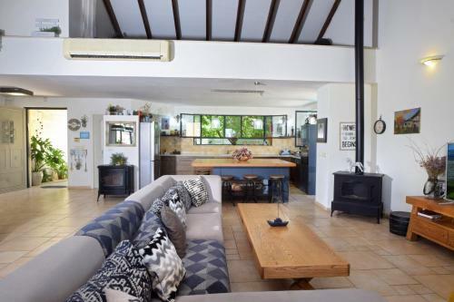 Villa Dream House In Shoresh