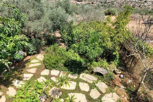 Apartamento Addorable 1 Bedroom, With Charming Garden