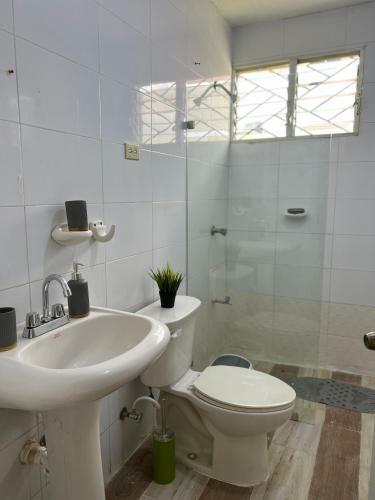 Apartamento Amueblado En San Cristobal