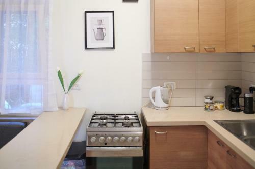 Quiet Garden Apartment In Rehavia