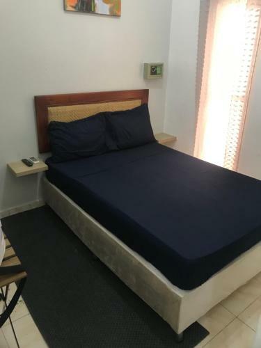 Apartamento Estudio En La Zona Colonial Privada