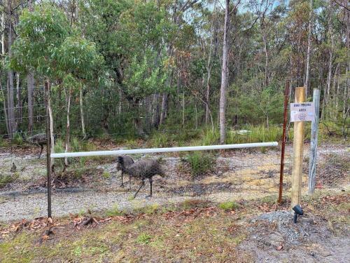Beach Farm Retreat At Jervis Bay