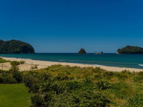 Sandy Doorstep - Whangamata Beachfront Holiday Apartment