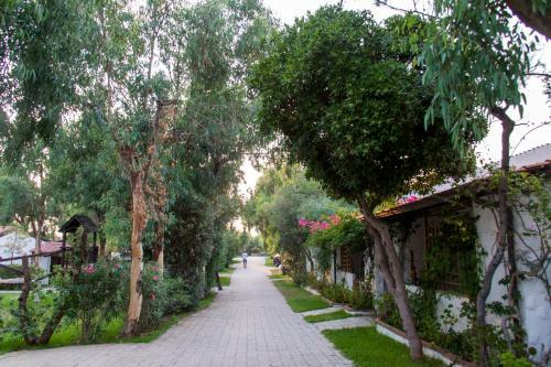 Villaggio Camping Mimosa
