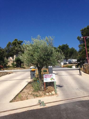 Camping Mer Et Camargue