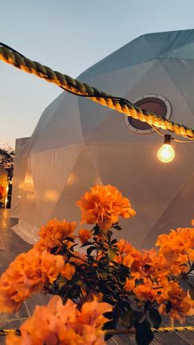 El Gato Glamping Con Vista A Prismas Bas�lticos