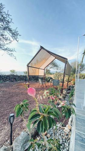El Gato Glamping Con Vista A Prismas Bas�lticos