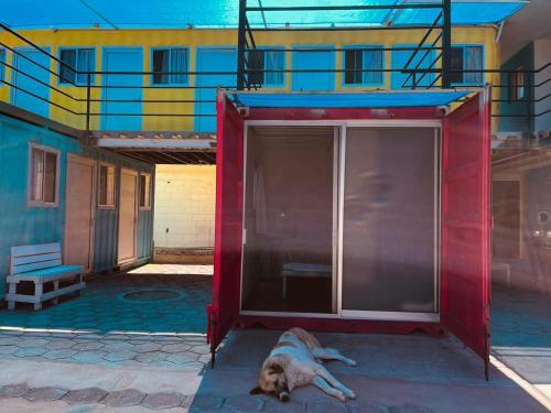 Peace Hostel Mx