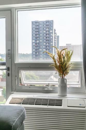 Downtown Hamilton Apartments By Simply Comfort