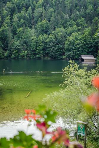 Forsthaus Toplitzsee