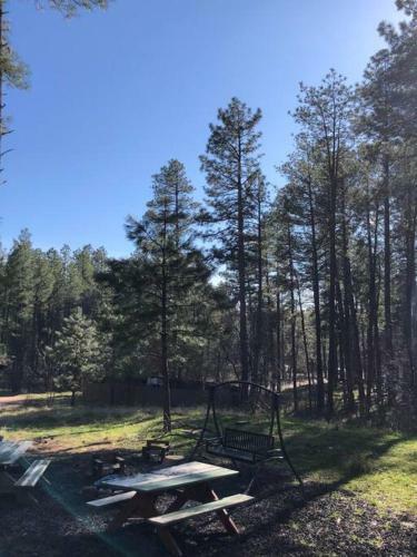 Forest Cabin 1 Hunters Blind