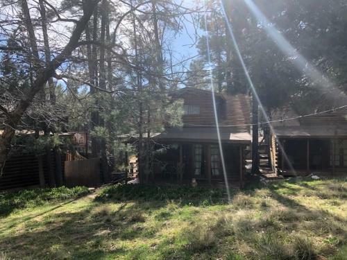 Forest Cabin 3 Bear's Den