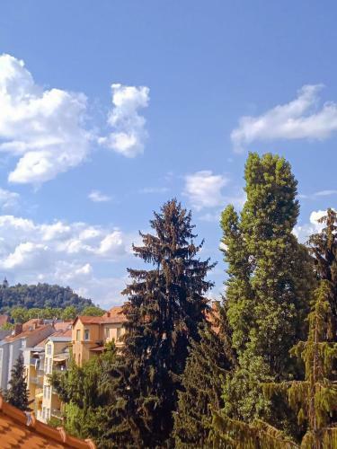 Apartamento Bright Loft With View Over Graz & Schlo�berg
