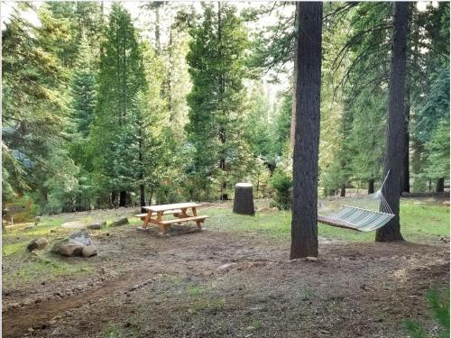 Cedar Ridge Retreat