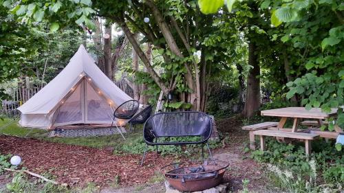 Glamping Zonnebloem - Back-to-nature