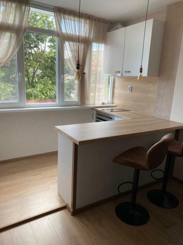 Apartamento Rose