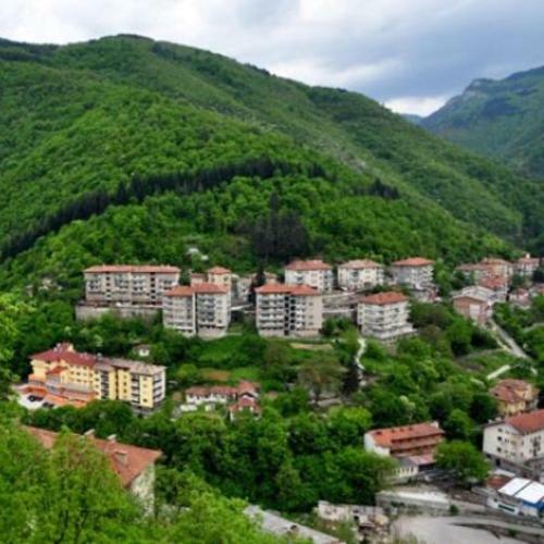 Hotel Forest Spring