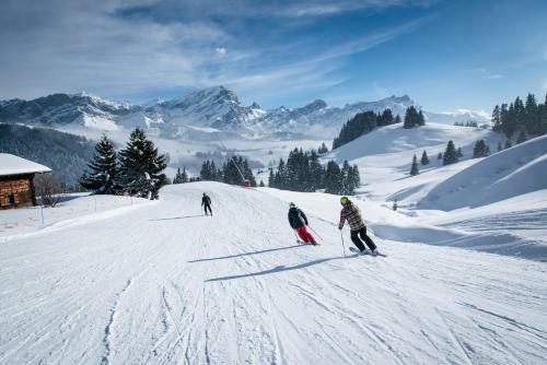 Chalet Bydand