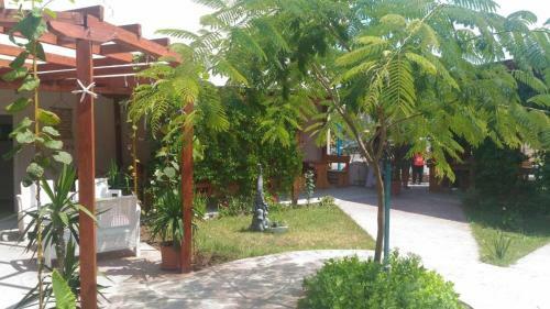 Apartamento Studio N