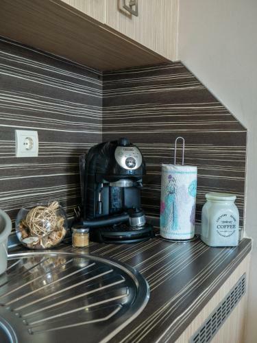 Studios Apartments Sea View