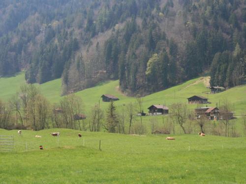 Apartment Chalet Bifigen