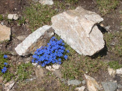 Hotel Rifugio Garibaldi