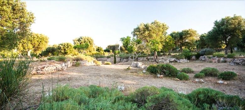 Bed & Breakfast Villa Delle Palme