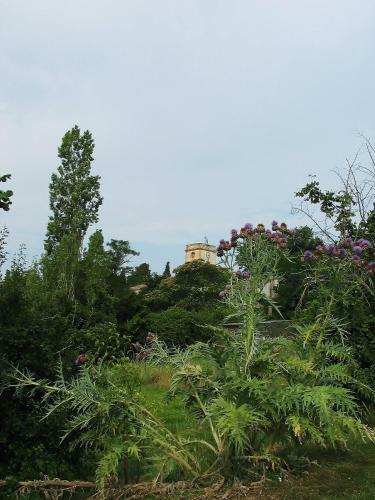 Bed & Breakfast La Chartreuse