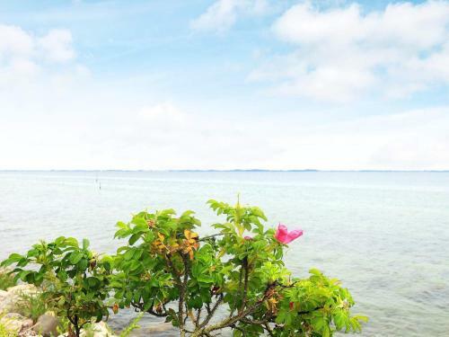 Holiday Home Sk�rup Fyn II